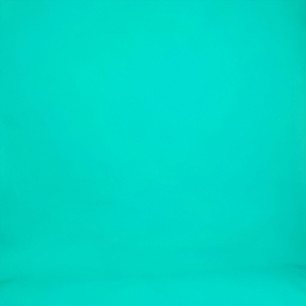 Medium-sized buds with frosty trichomes and rich green color on a pale studio backdrop